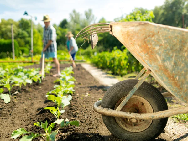 agricultura orgánica